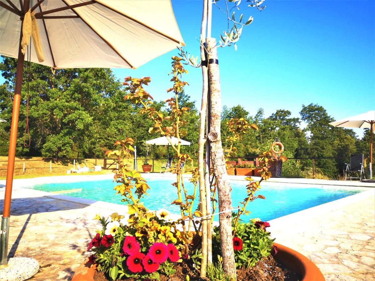 Locanda Vesuna Countryhouse Trequanda Luaran gambar