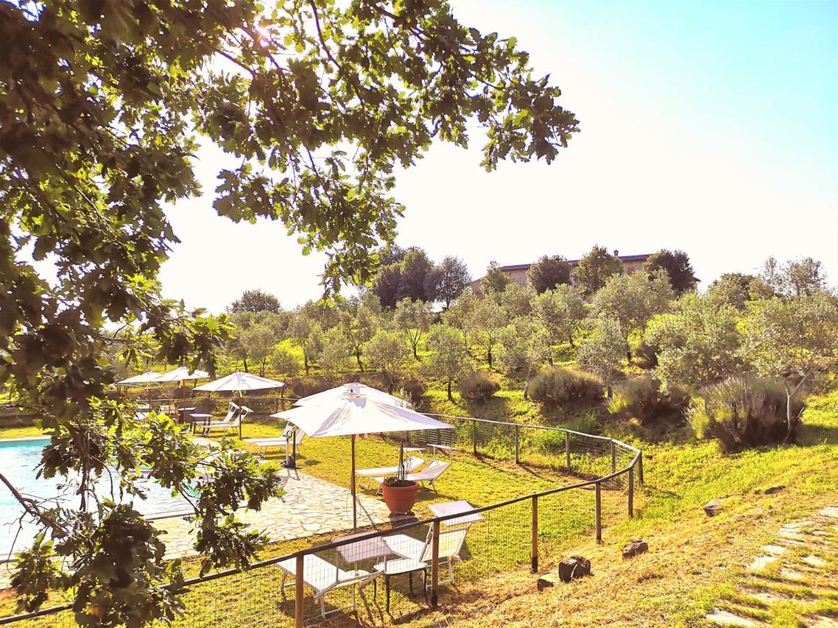 Locanda Vesuna Countryhouse Trequanda Luaran gambar